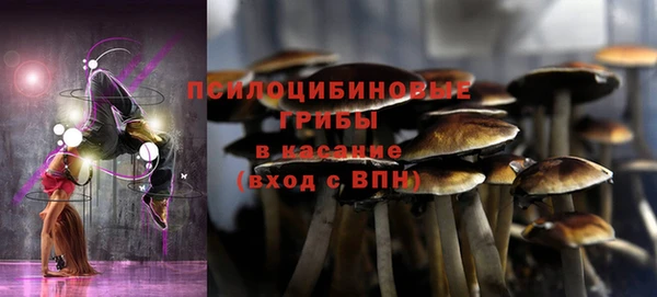 герыч Куйбышев