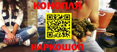 крисы Краснознаменск