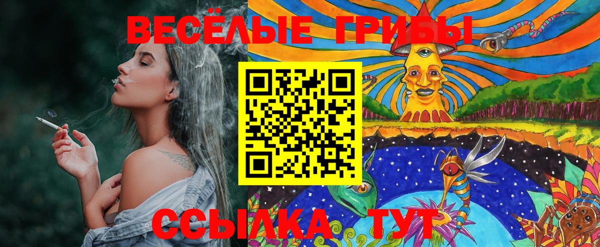 наркошоп  Вход с VPN  Кохма  Галлюциногенные грибы мицелий 