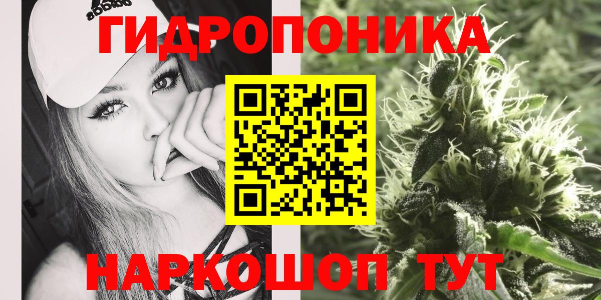 Конопля конопля Кохма